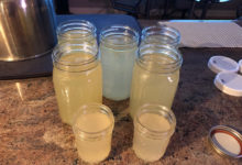 Instant Pot Chicken Bone Broth